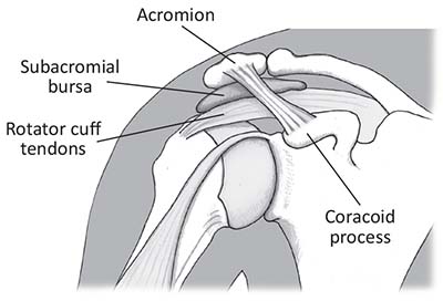 Joint aspirations and injections | RPHCM
